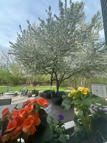 1203 MACINTOSH Drive, Wauconda, IL 60084