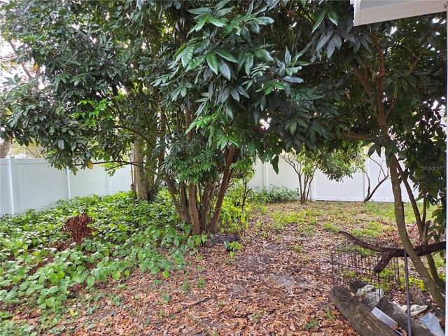 24914 SILVERSMITH DRIVE, Lutz, FL 33559