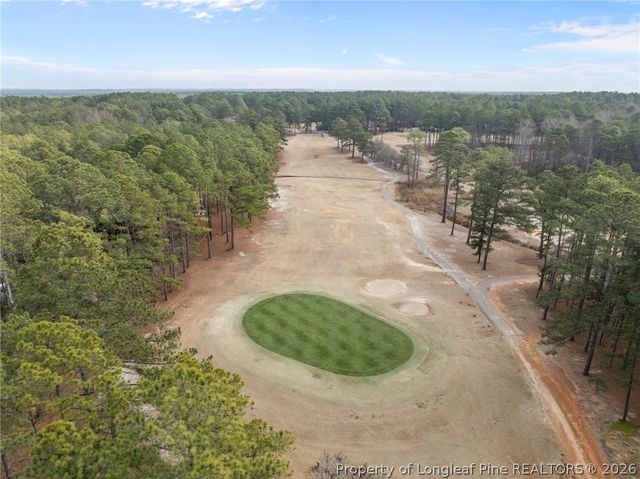 30080 Deercroft Drive, Wagram, NC 28396