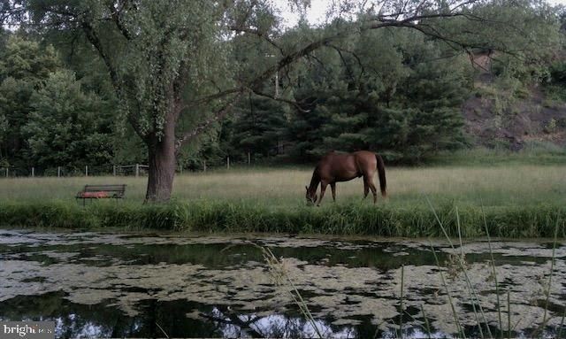 11178 HEDGESVILLE RD, Hedgesville, WV 25427