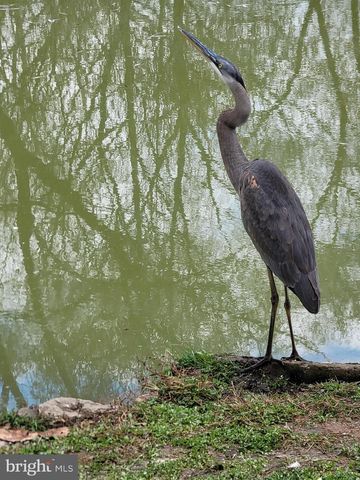 11178 HEDGESVILLE RD, Hedgesville, WV 25427