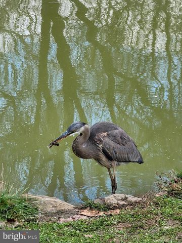 11178 HEDGESVILLE RD, Hedgesville, WV 25427