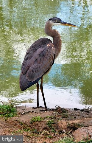 11178 HEDGESVILLE RD, Hedgesville, WV 25427