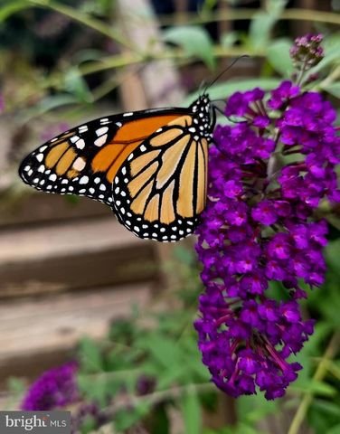 11178 HEDGESVILLE RD, Hedgesville, WV 25427