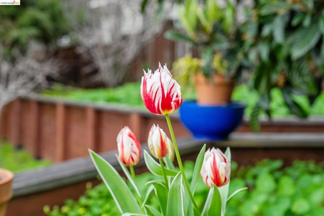 5845 Bernhard Ave, Richmond, CA 94805