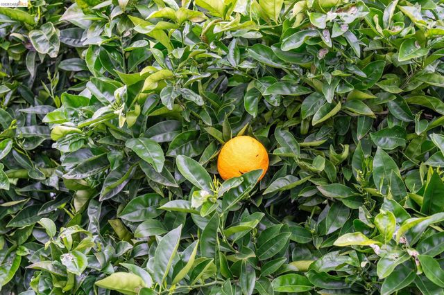 5845 Bernhard Ave, Richmond, CA 94805