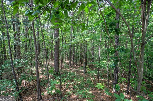 0 Forest Creek, Dallas, GA 30132