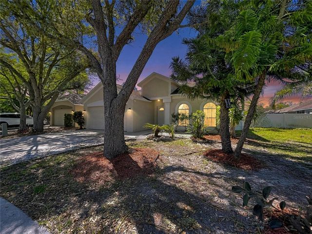 10310 BIRDWATCH DRIVE, Tampa, FL 33647