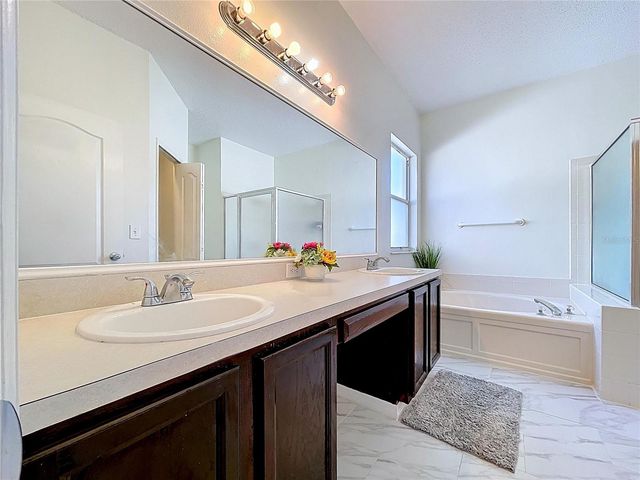 10310 BIRDWATCH DRIVE, Tampa, FL 33647