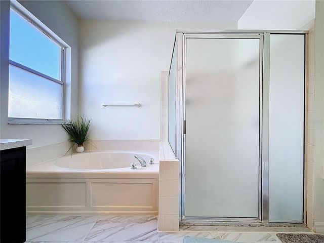 10310 BIRDWATCH DRIVE, Tampa, FL 33647