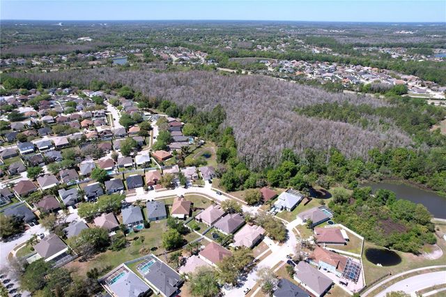 10310 BIRDWATCH DRIVE, Tampa, FL 33647