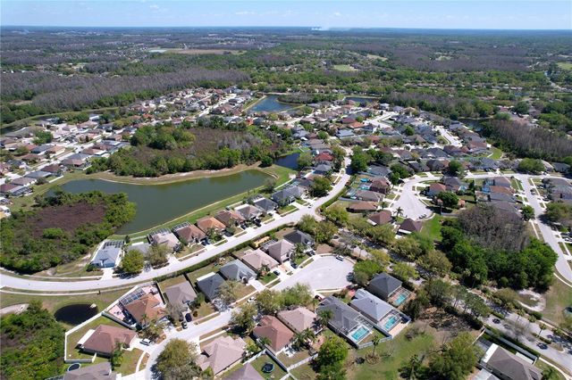 10310 BIRDWATCH DRIVE, Tampa, FL 33647