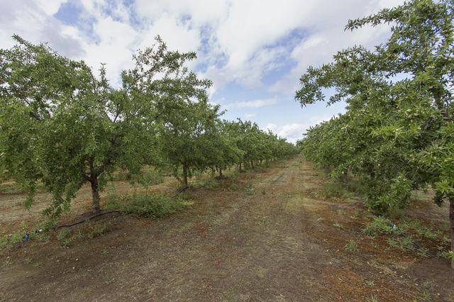 13247 Vineyard Road, Waterford, CA 95386