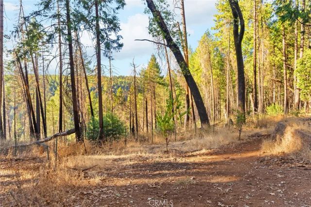 14177 Racine Circle, Magalia, CA 95954