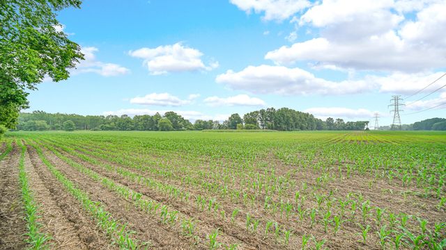 0 W 1050 N, Chesterton, IN 46304