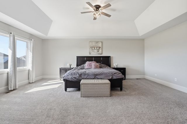 13931 W Wilderness Lakes Drive, Manhattan, IL 60442