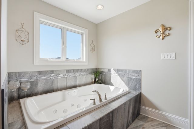 13931 W Wilderness Lakes Drive, Manhattan, IL 60442