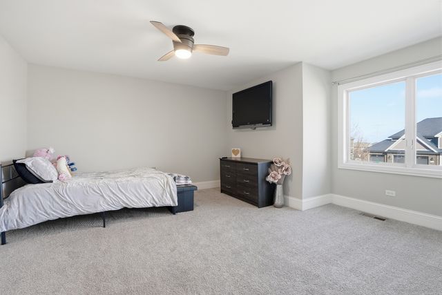 13931 W Wilderness Lakes Drive, Manhattan, IL 60442