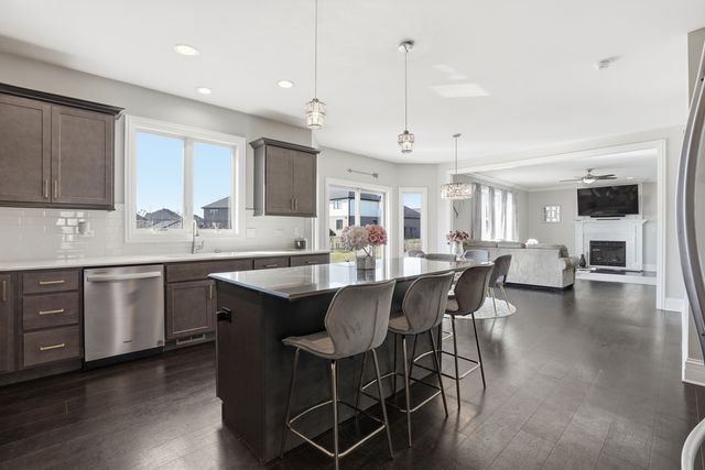 13931 W Wilderness Lakes Drive, Manhattan, IL 60442