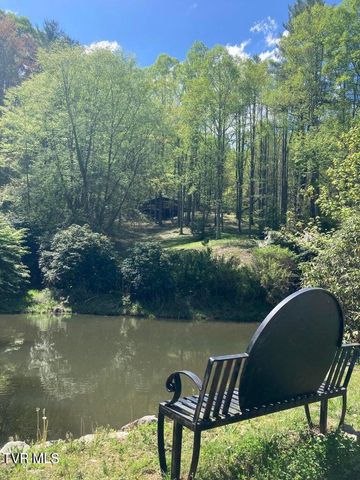 303 Honeymoon Lot 59 Hollow, Butler, TN 37640