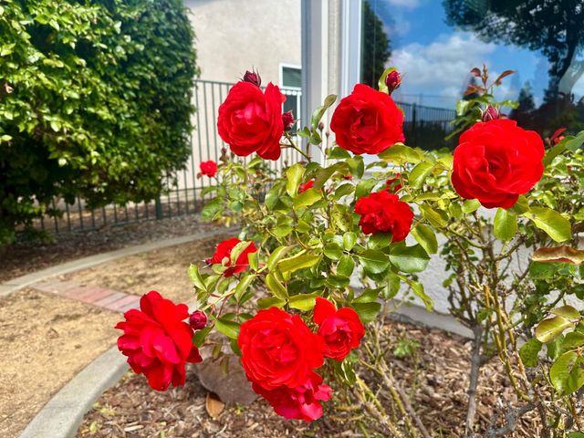 7026 Lost Lake Ln, Roseville, CA 95747