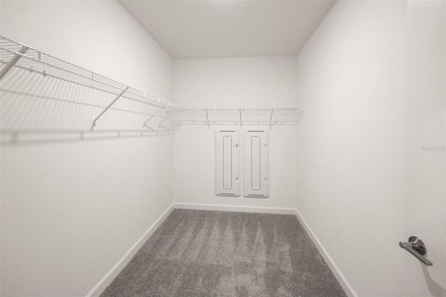 17551 HOLLY WELL AVENUE, Wimauma, FL 33598