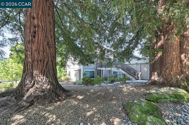 2175 Cactus Ct 1, Walnut Creek, CA 94595