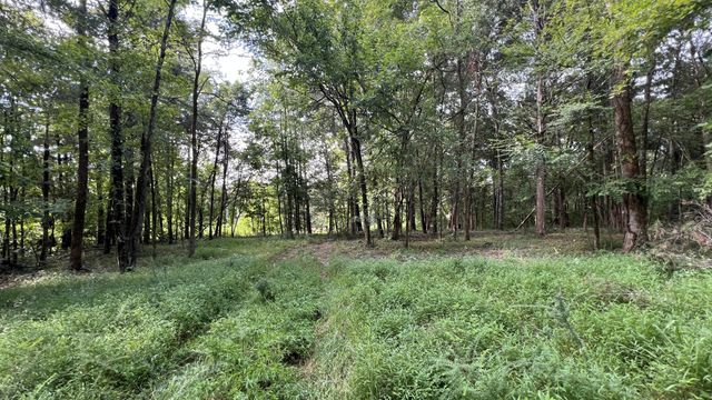 335 Hankins Ln, Hartsville, TN 37074