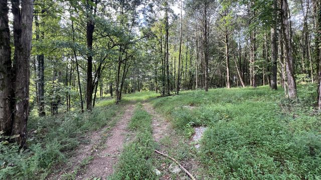 335 Hankins Ln, Hartsville, TN 37074