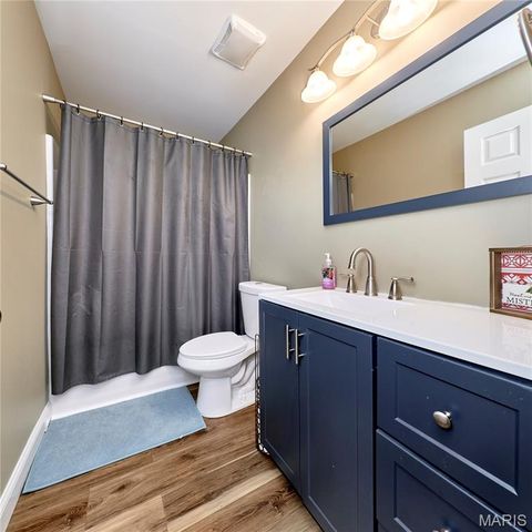 206 Cherrywood Parc Drive, O'fallon, MO 63368