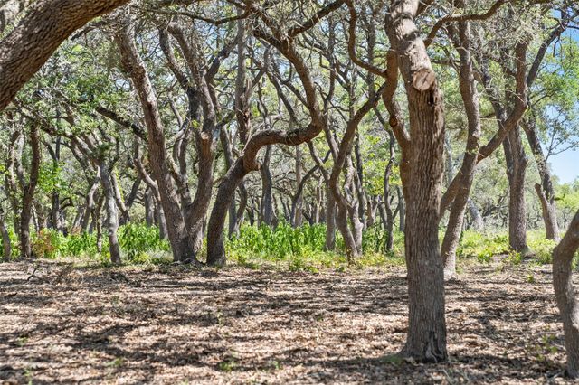 Tract 12 LewDele LN, Blanco, TX 78671