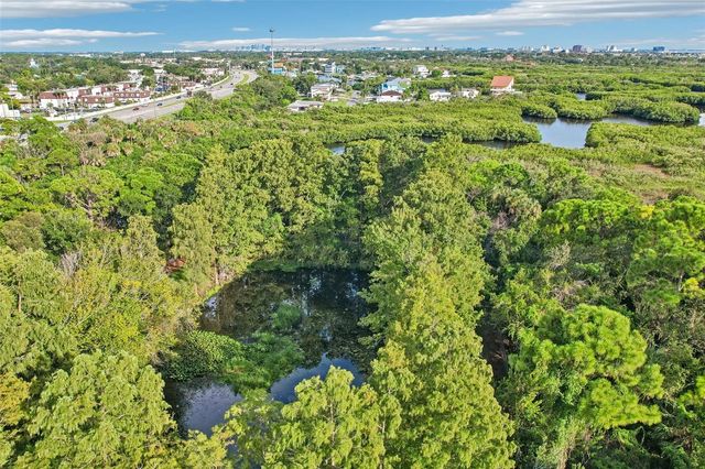 6223 ANHINGA PLACE, Tampa, FL 33615