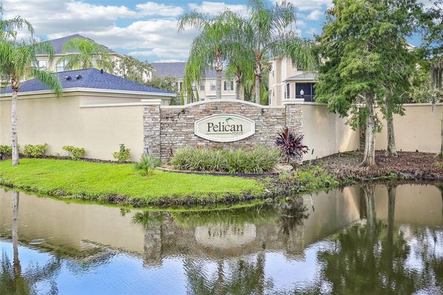 6223 ANHINGA PLACE, Tampa, FL 33615