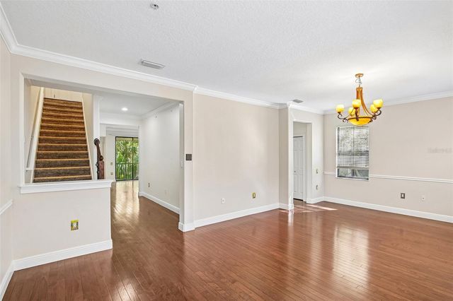 6223 ANHINGA PLACE, Tampa, FL 33615