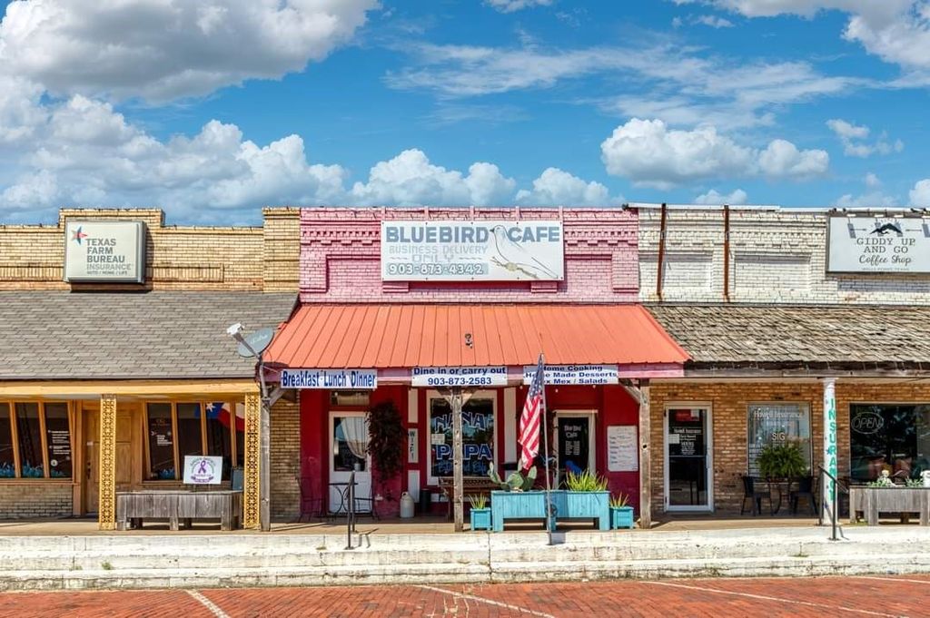 124 W North Commerce Street, Wills Point, TX 75169