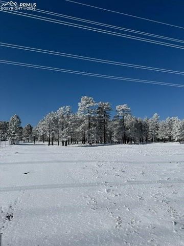 12196 Goodson Road, Colorado Springs, CO 80908