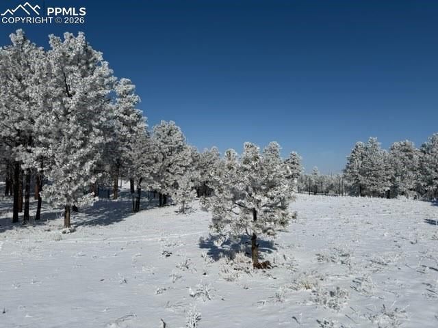 12196 Goodson Road, Colorado Springs, CO 80908