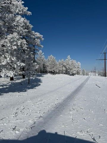 12196 Goodson Road, Colorado Springs, CO 80908