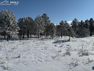 12196 Goodson Road, Colorado Springs, CO 80908