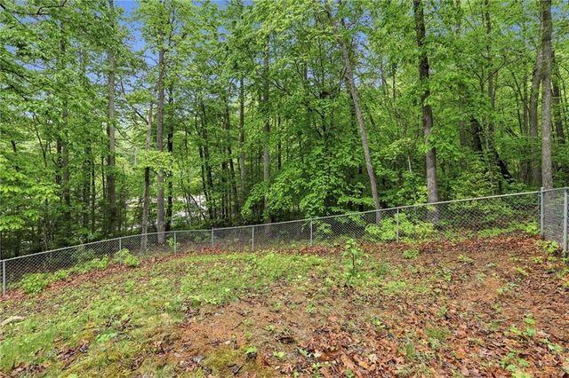 15 Mississippi Lane, Tiger, GA 30576