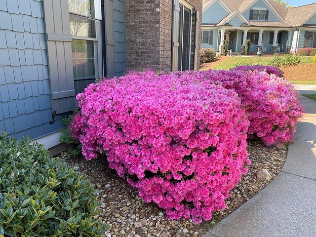 300 Towne Overlook Circle, Canton, GA 30114