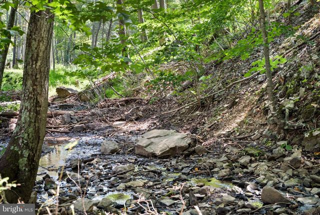 1789 HELMICK ROCK RD, Mathias, WV 26812