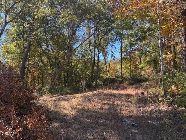 2779 Easy Street, Sevierville, TN 37862