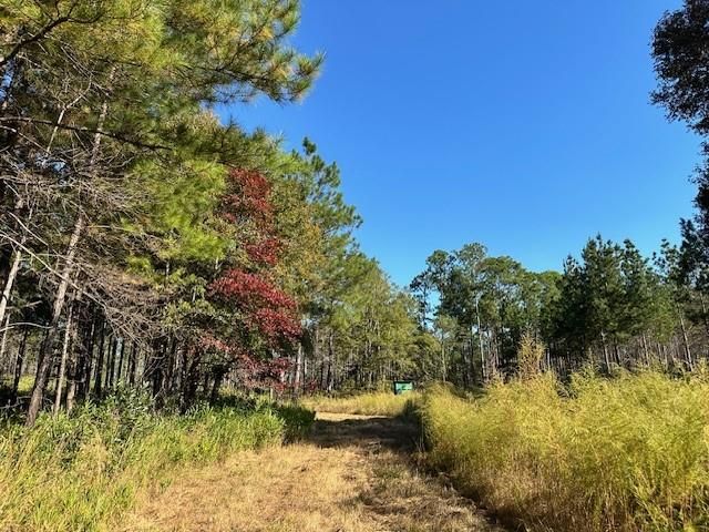 0 Hollingsworth Road, Bay Minette, AL 36507