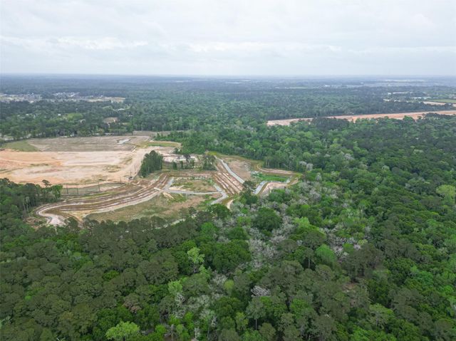 23607 Cardinal Drive, Hockley, TX 77447