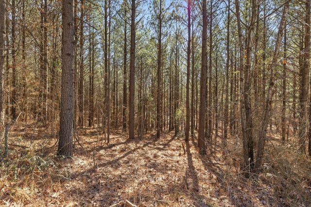 0 Wildlife Way, Guild, TN 37340