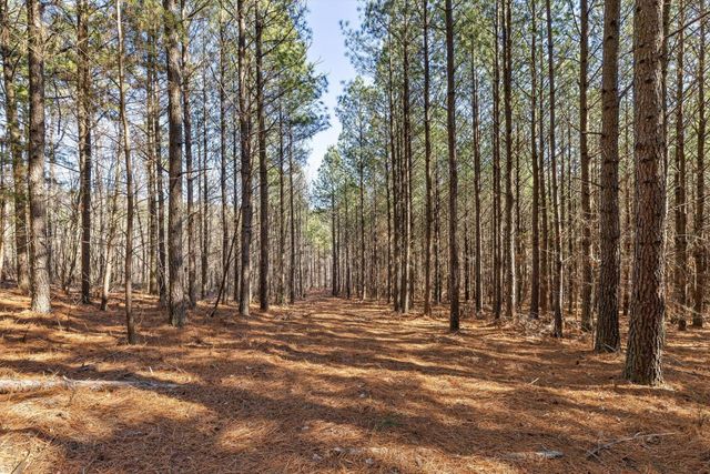 0 Wildlife Way, Guild, TN 37340