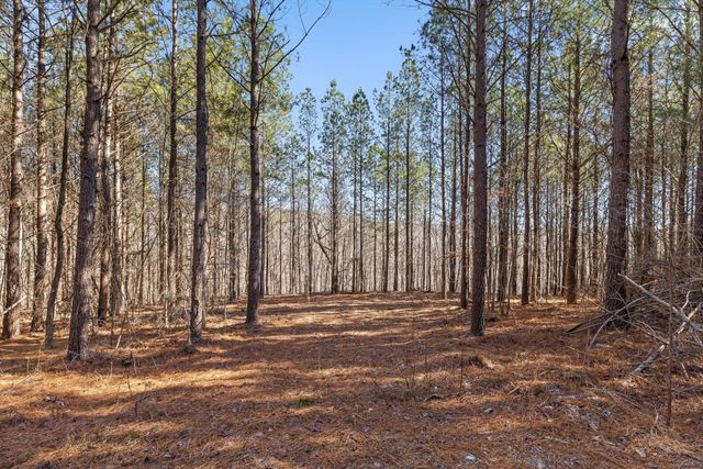 0 Wildlife Way, Guild, TN 37340