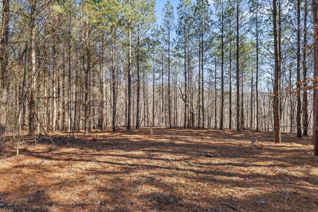 0 Wildlife Way, Guild, TN 37340