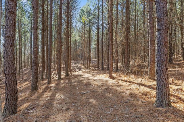 0 Wildlife Way, Guild, TN 37340